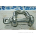 "D"Type Stainless Steel Shackle